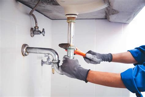 rooter plumber|How Much Does Roto.